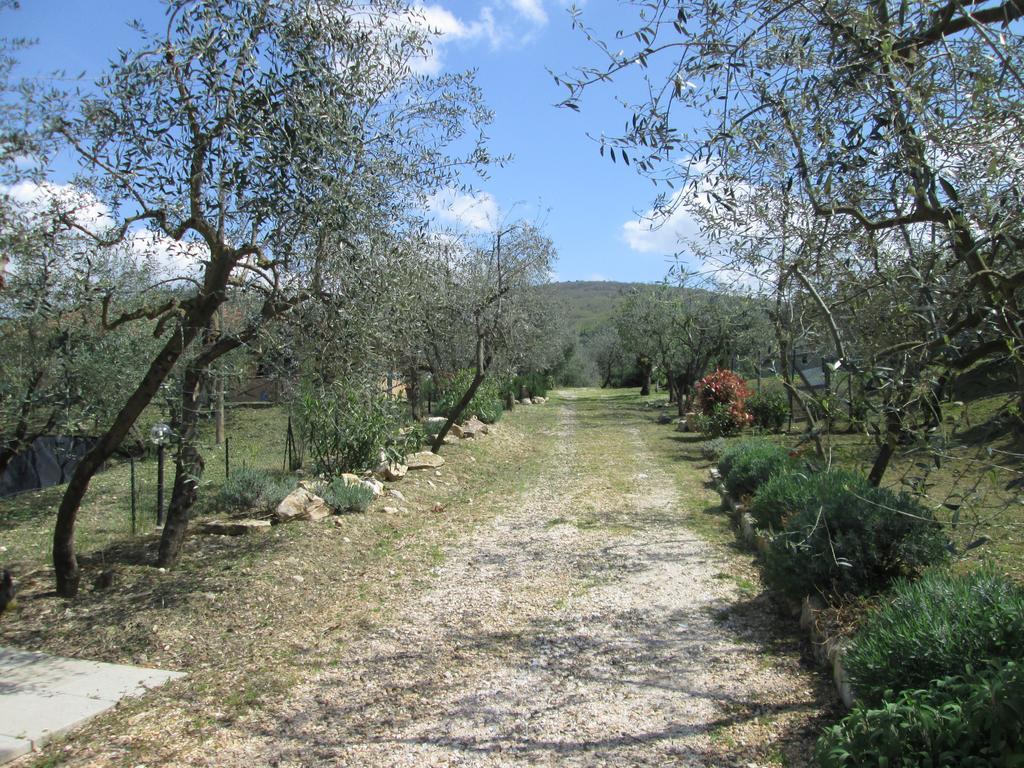 Agriturismo Il Colle Villa Bagno A Ripoli Exterior photo